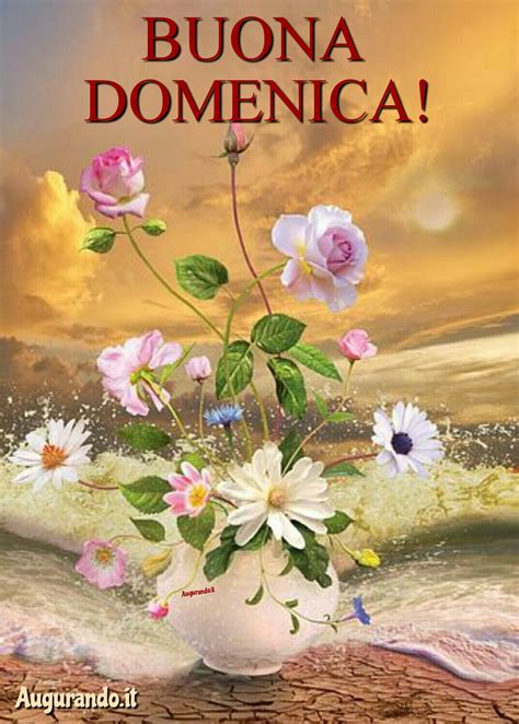 buon giorno domenica|buona domenica immagini.